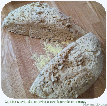 Pâte à pain aux graines 100% farines SG, après levée, coupée en deux - Makanaibio.com